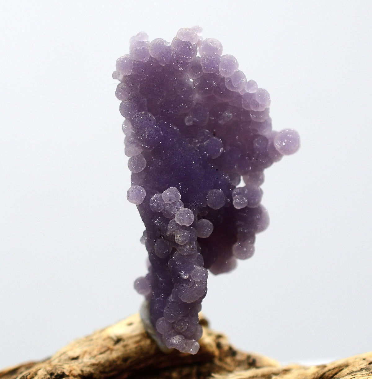 Grape Agate - Botryoidal Amethyst