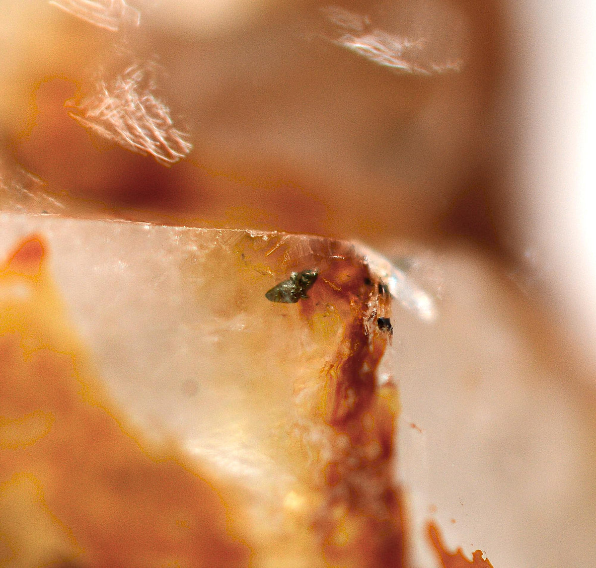 Gold-Included Welsh Quartz: Ethically Hand-Mined Celtic Quartz