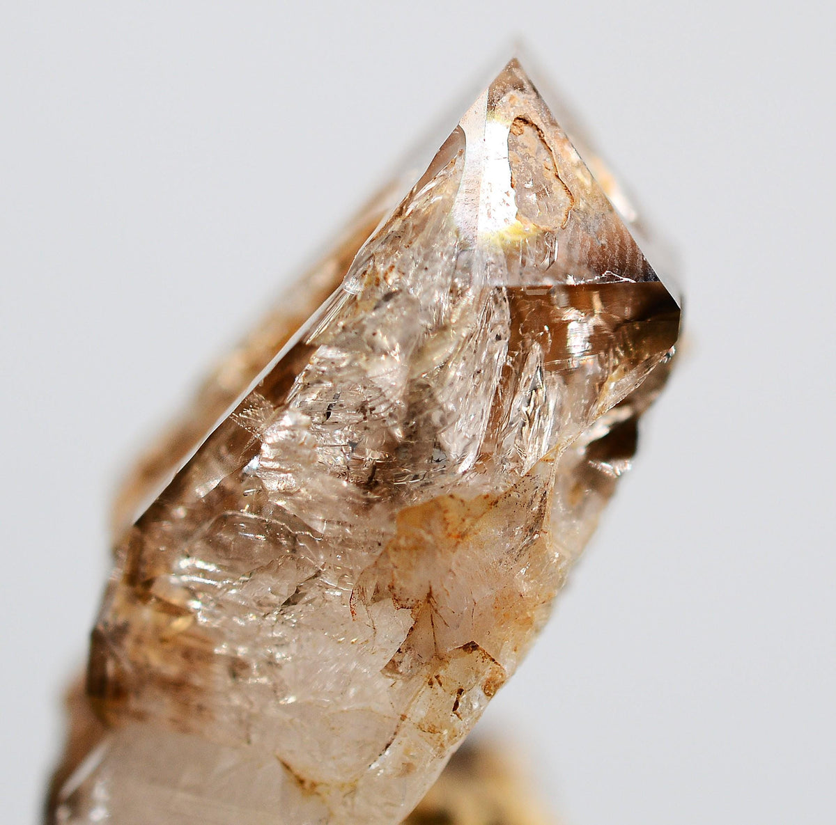 Omapeleki Brandberg Skeletal Black Phantom: Ethically Mined Quartz Crystal