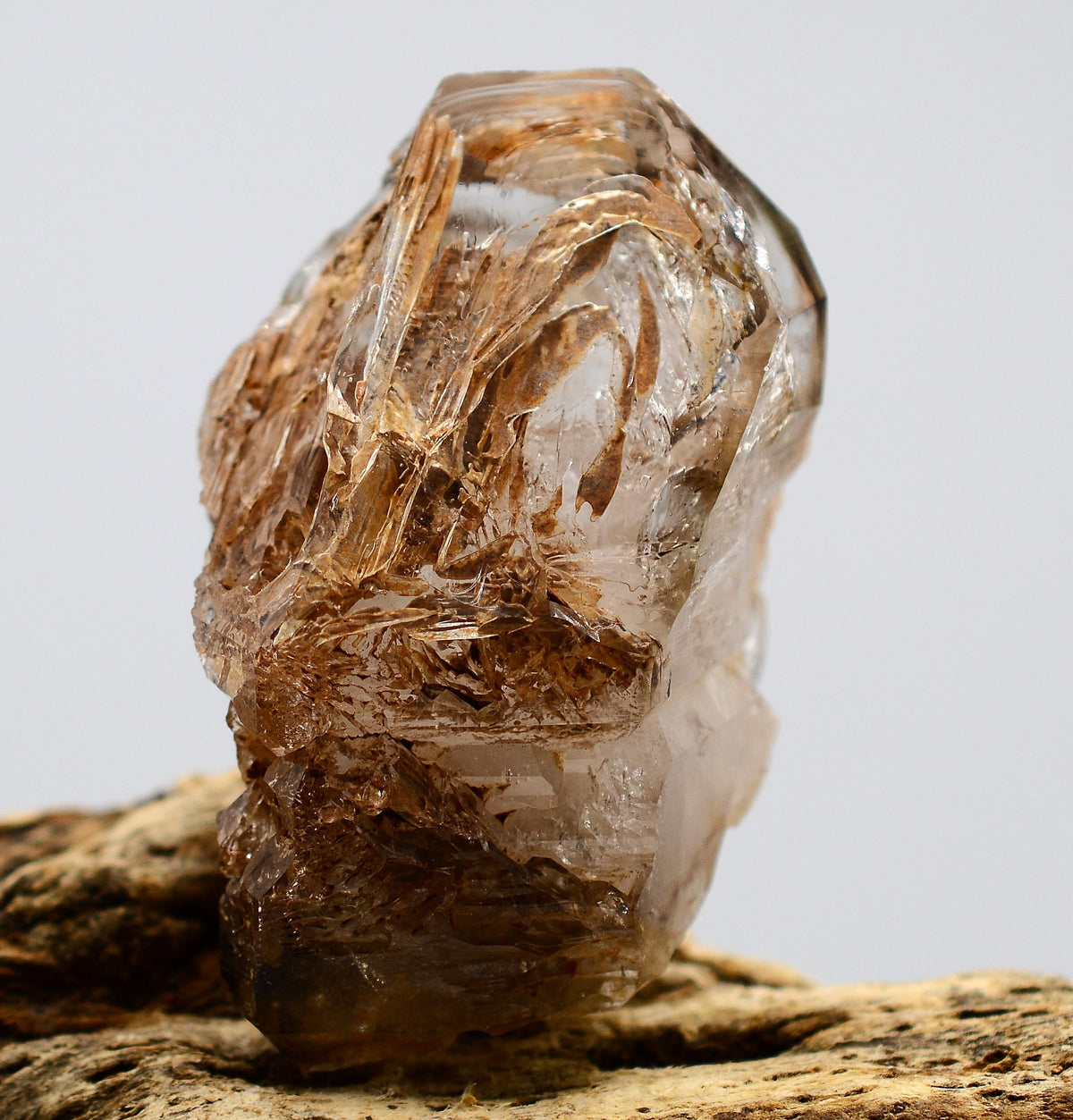 Omapeleki Brandberg Skeletal Black Phantom: Ethically Mined Quartz Crystal