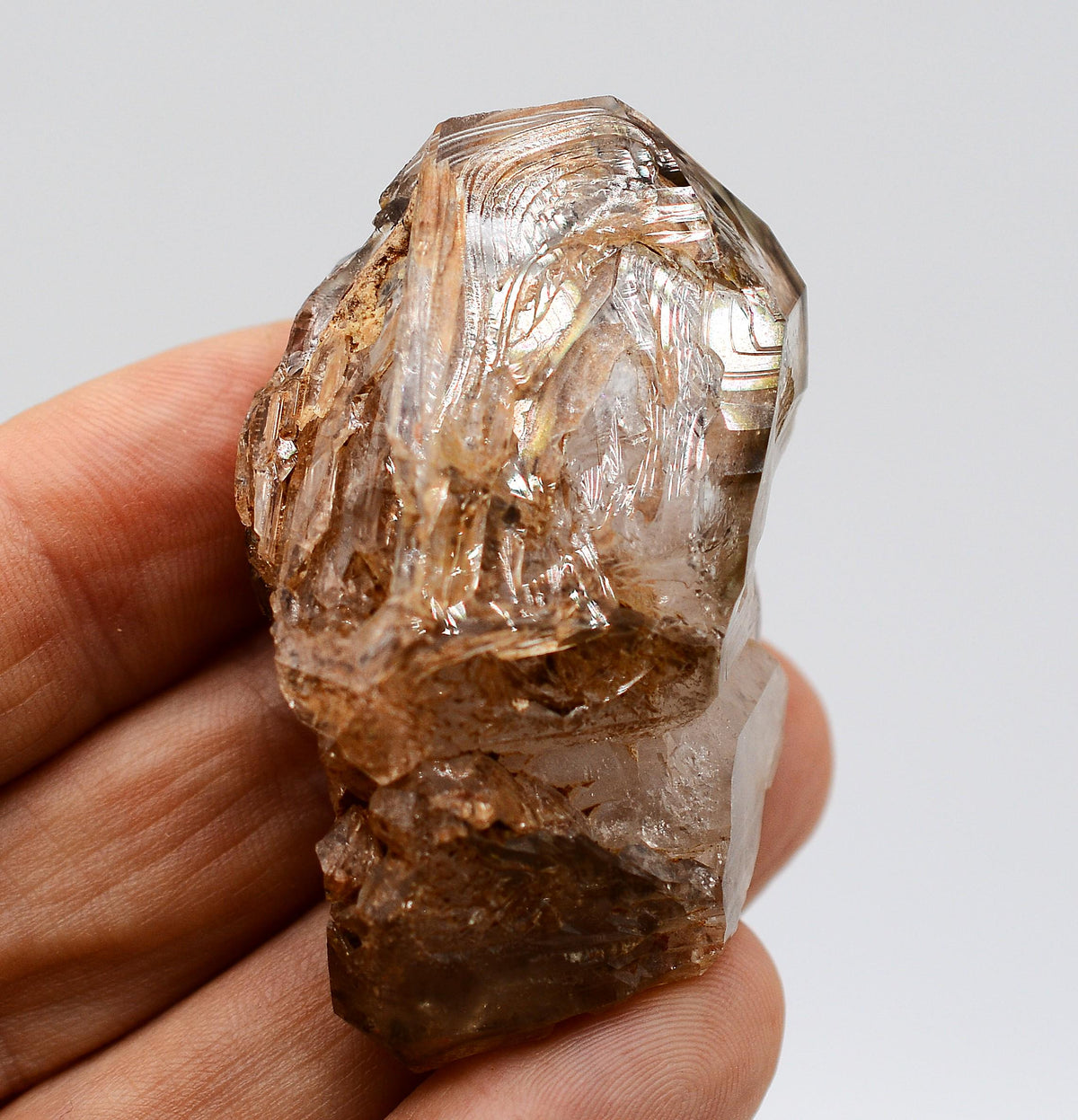 Omapeleki Brandberg Skeletal Black Phantom: Ethically Mined Quartz Crystal