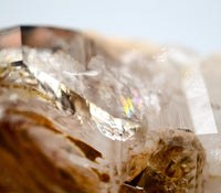 Omapeleki Brandberg Skeletal Black Phantom: Ethically Mined Quartz Crystal