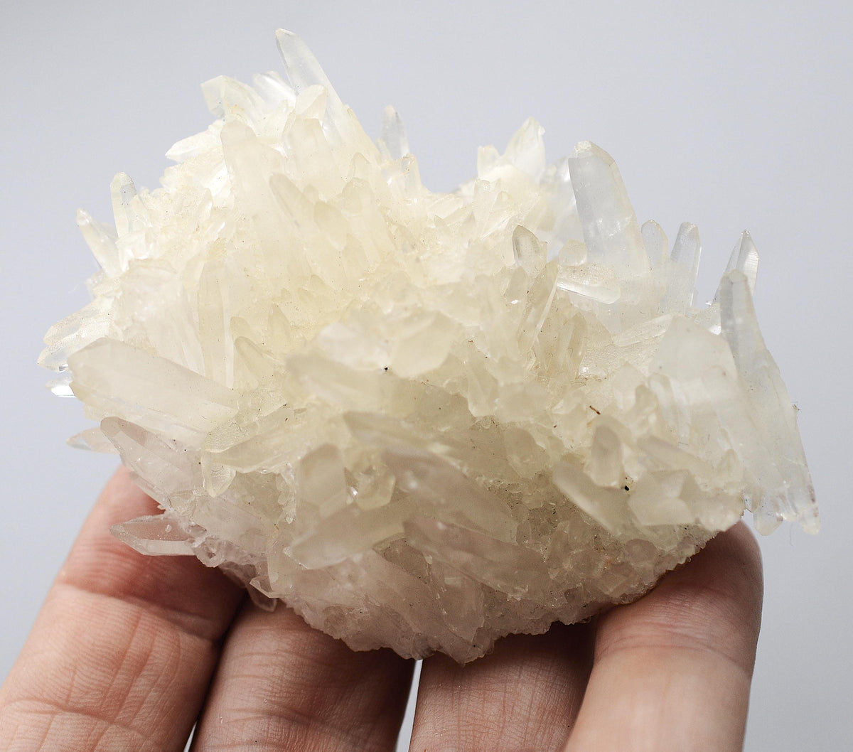 Himalayan Laser Quartz Cluster