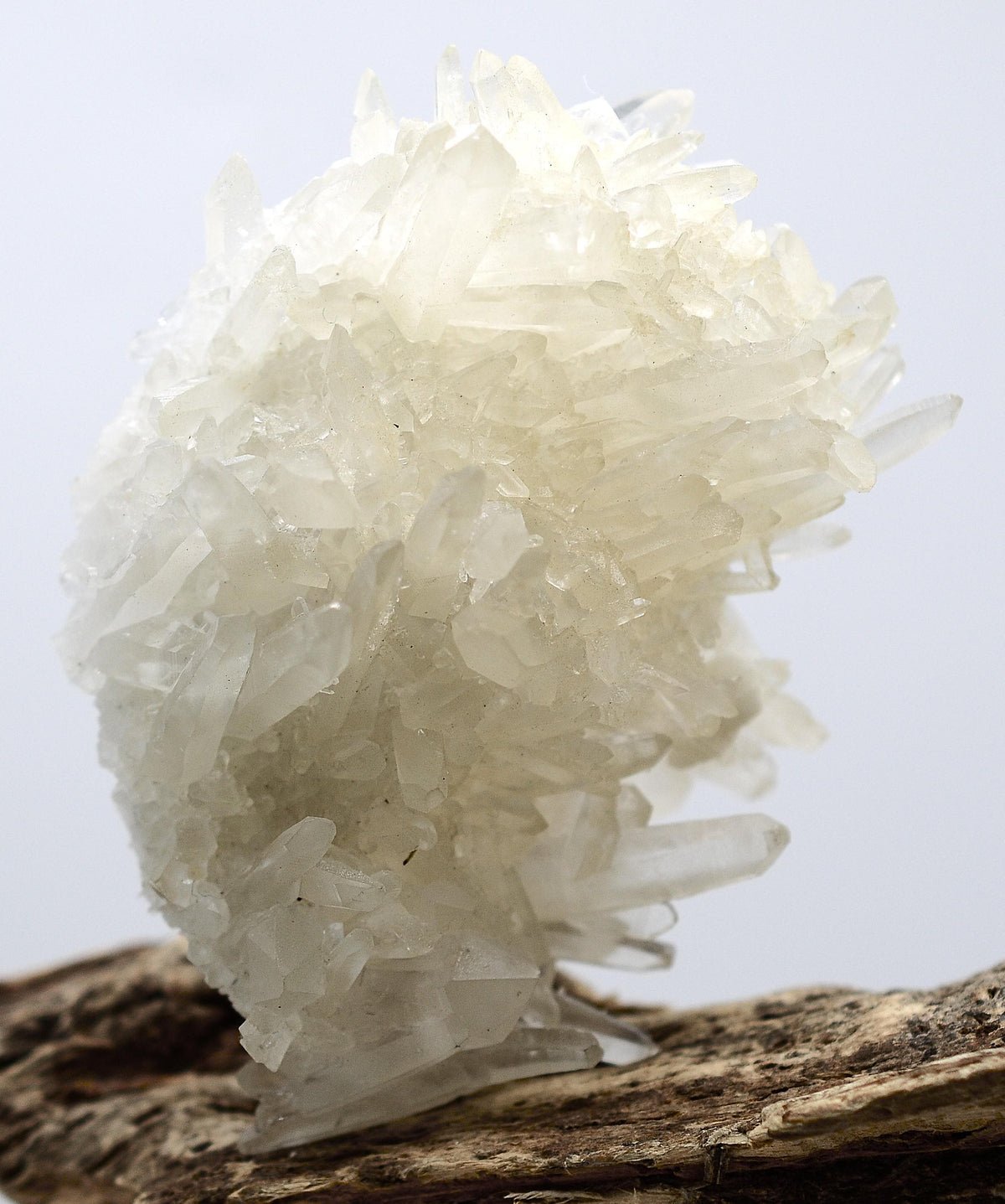 Himalayan Quartz Cluster