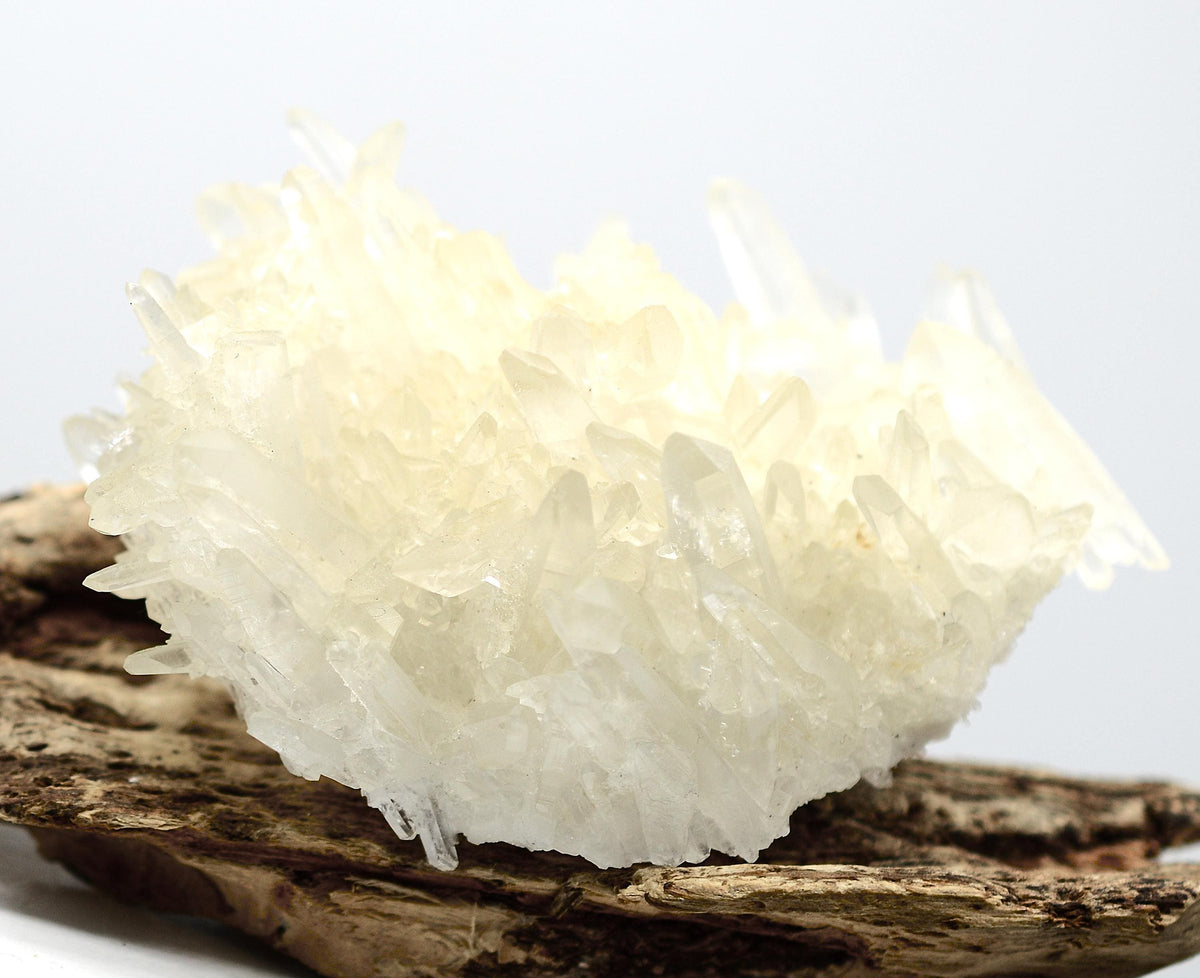 Himalayan Quartz Cluster