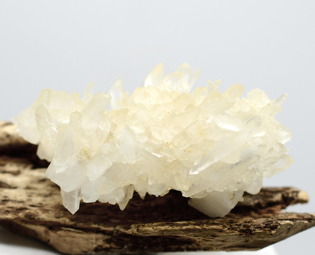 Himalayan Quartz Cluster