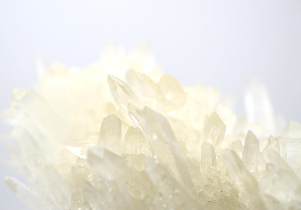 Himalayan Quartz Cluster