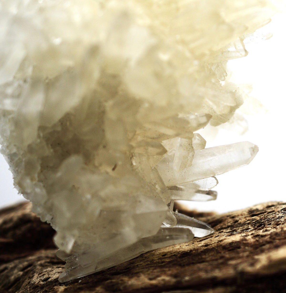 Himalayan Quartz Cluster