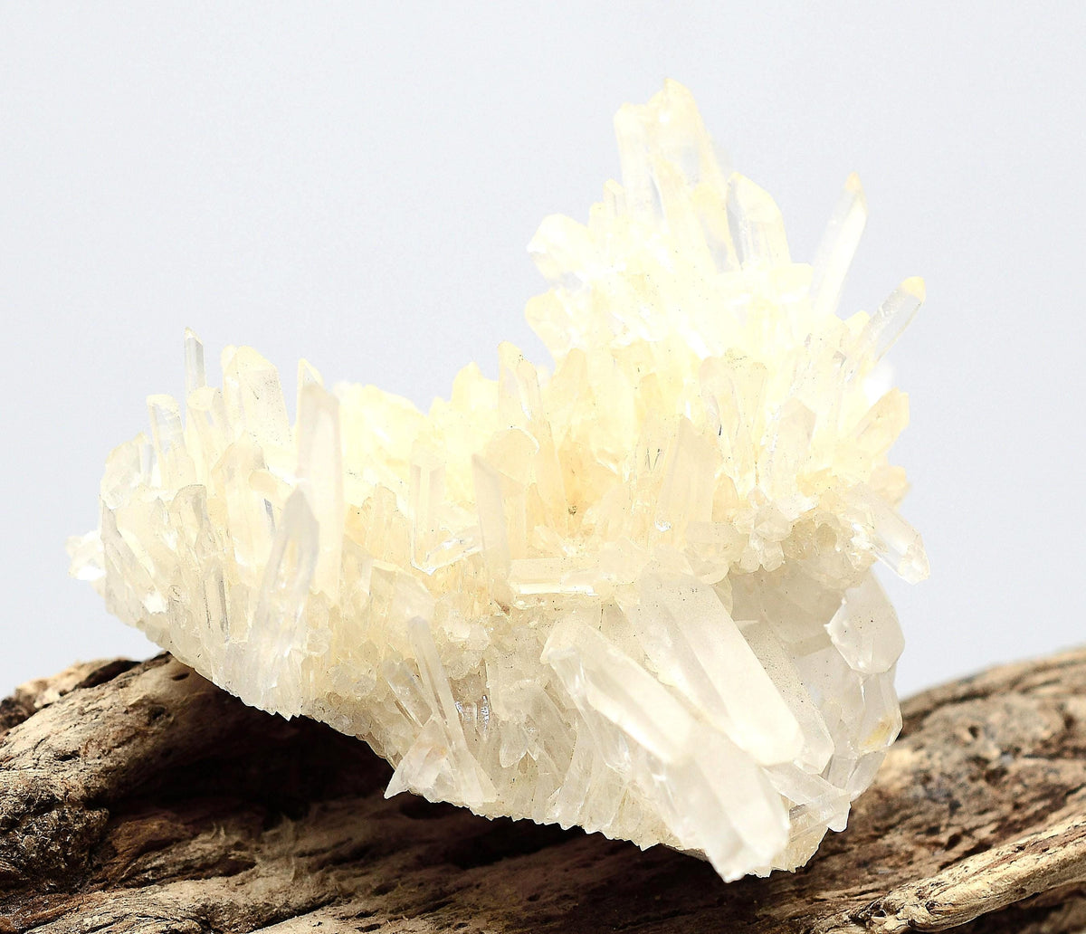 Himalayan Laser Quartz Cluster: Ethically Mined Quartz Crystal