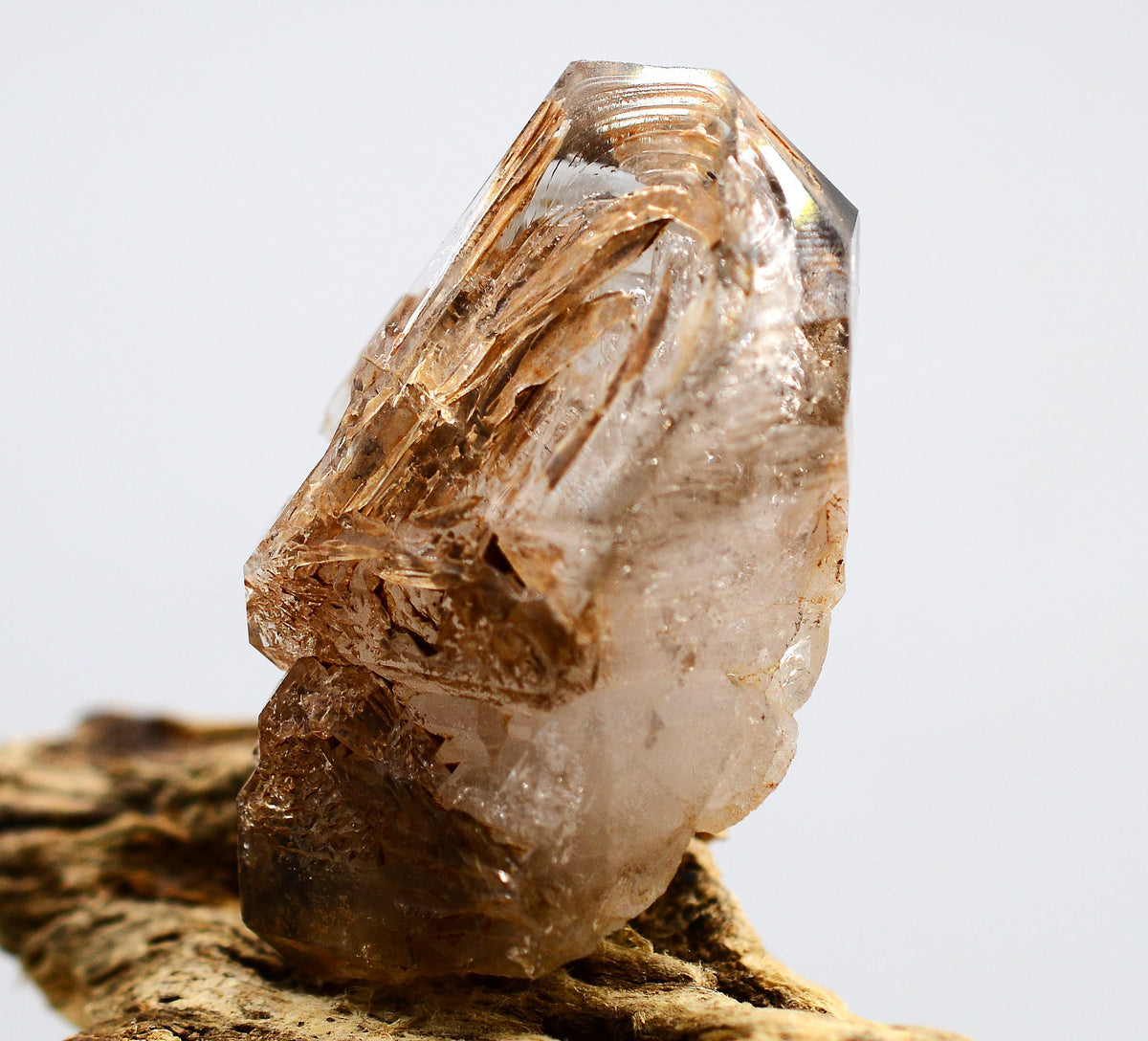 Omapeleki Brandberg Skeletal Black Phantom: Ethically Mined Quartz Crystal