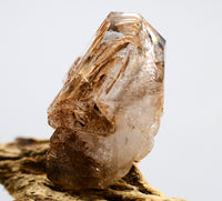 Omapeleki Brandberg Skeletal Black Phantom: Ethically Mined Quartz Crystal