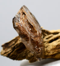 Omapeleki Brandberg Skeletal Black Phantom: Ethically Mined Quartz Crystal