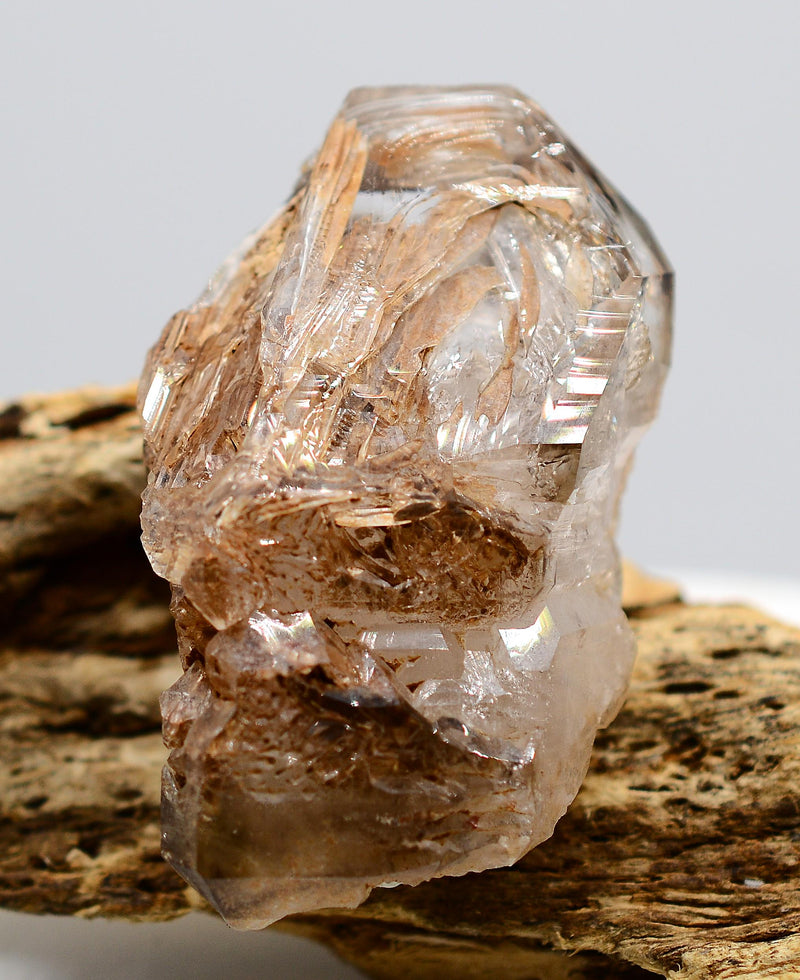 Omapeleki Brandberg Skeletal Black Phantom: Ethically Mined Quartz Crystal