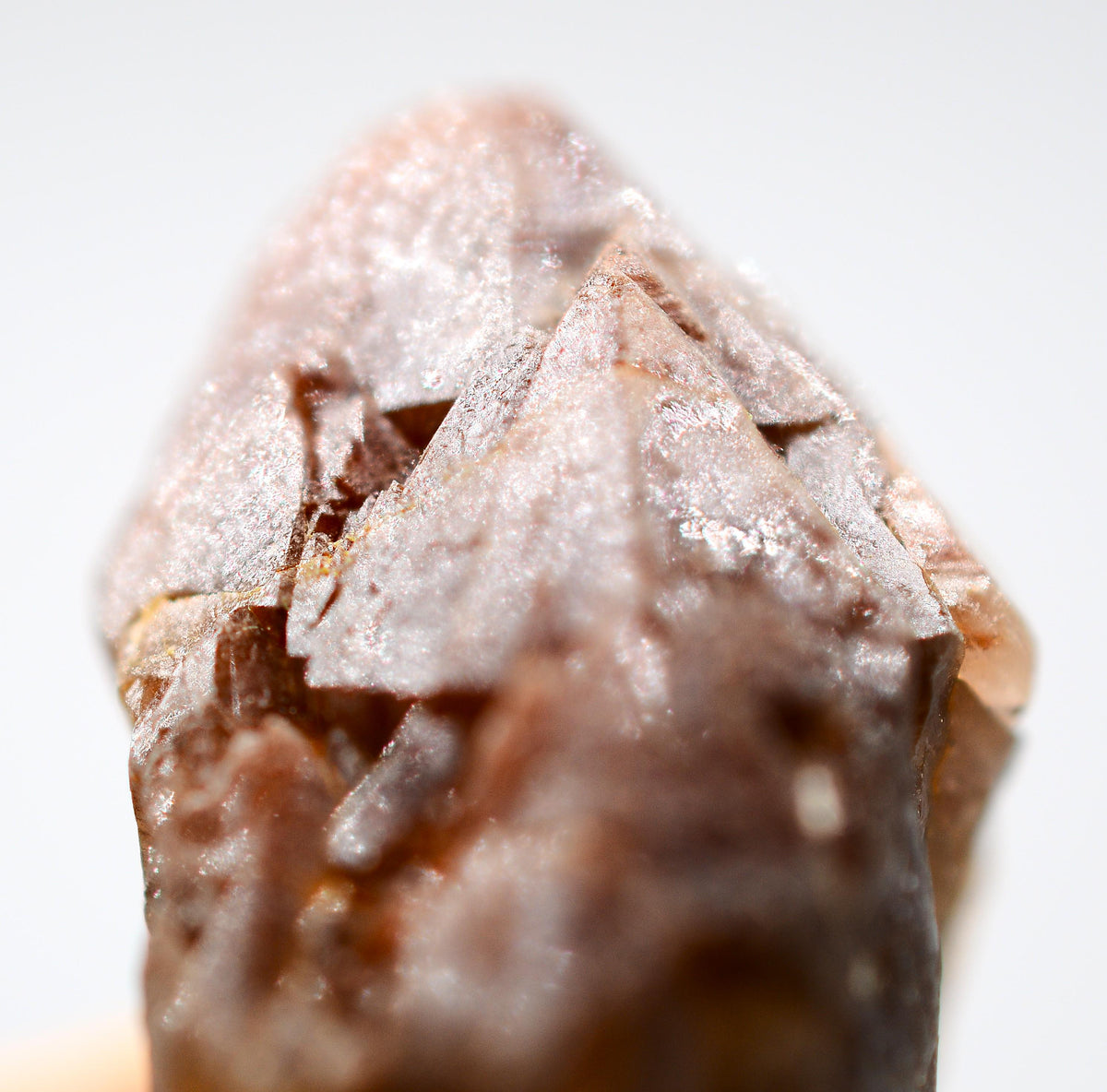 Auralite 23 Crystal: Ethically Mined in Canada, Healing Stone