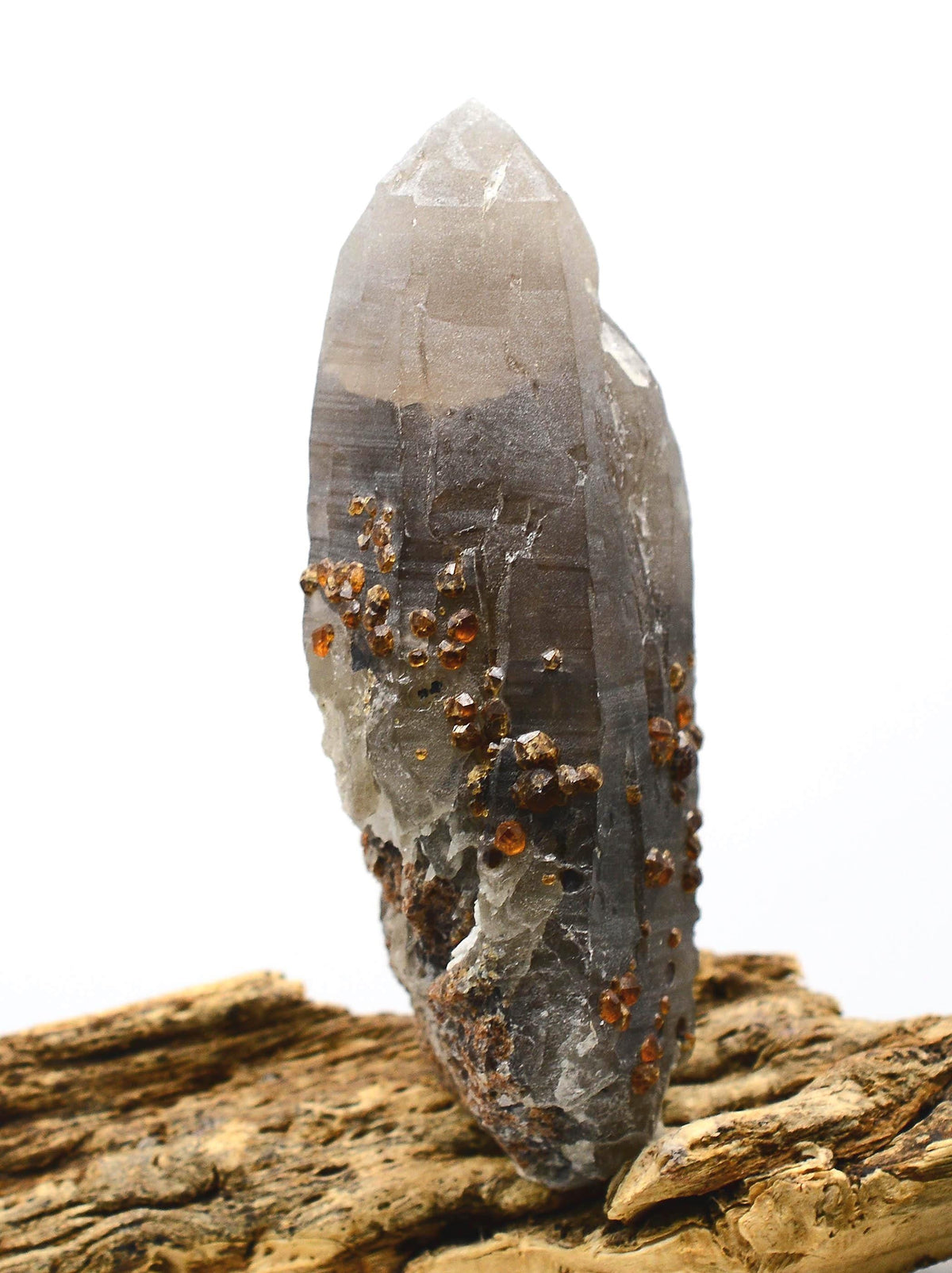 Garnets on Self-Healed Smokey Quartz Twin