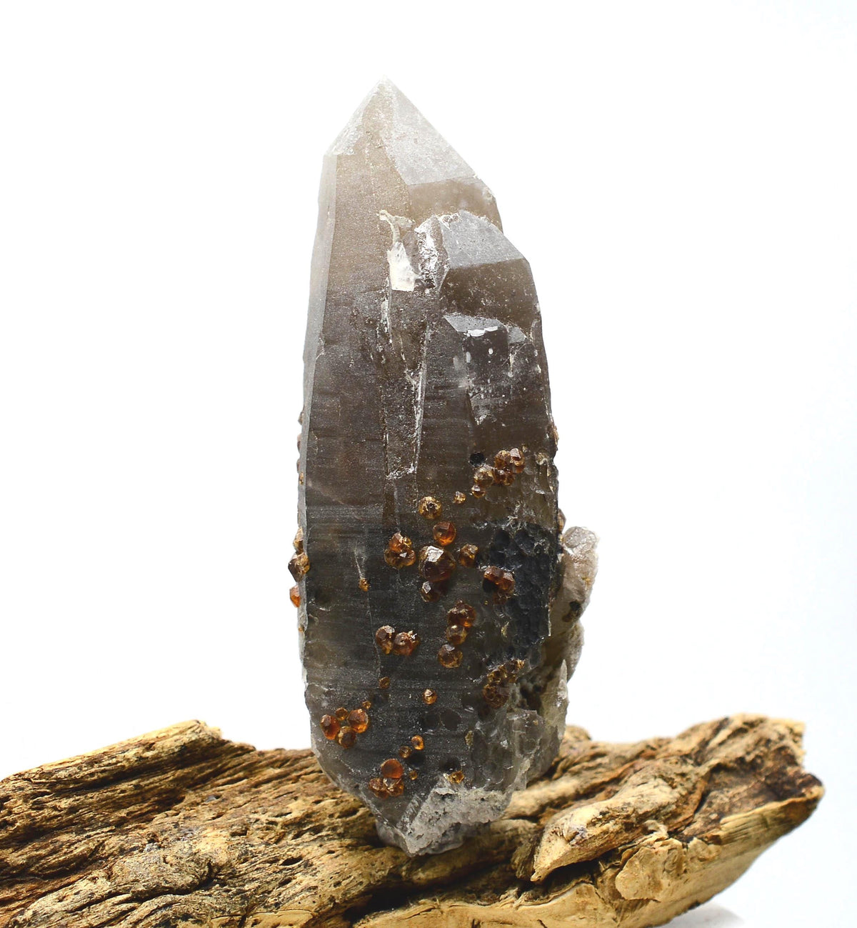 Garnets on Self-Healed Smokey Quartz Twin