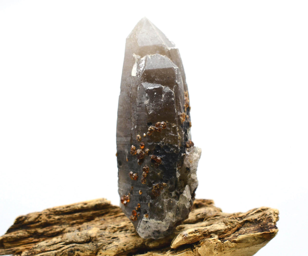 Garnets on Self-Healed Smokey Quartz Twin
