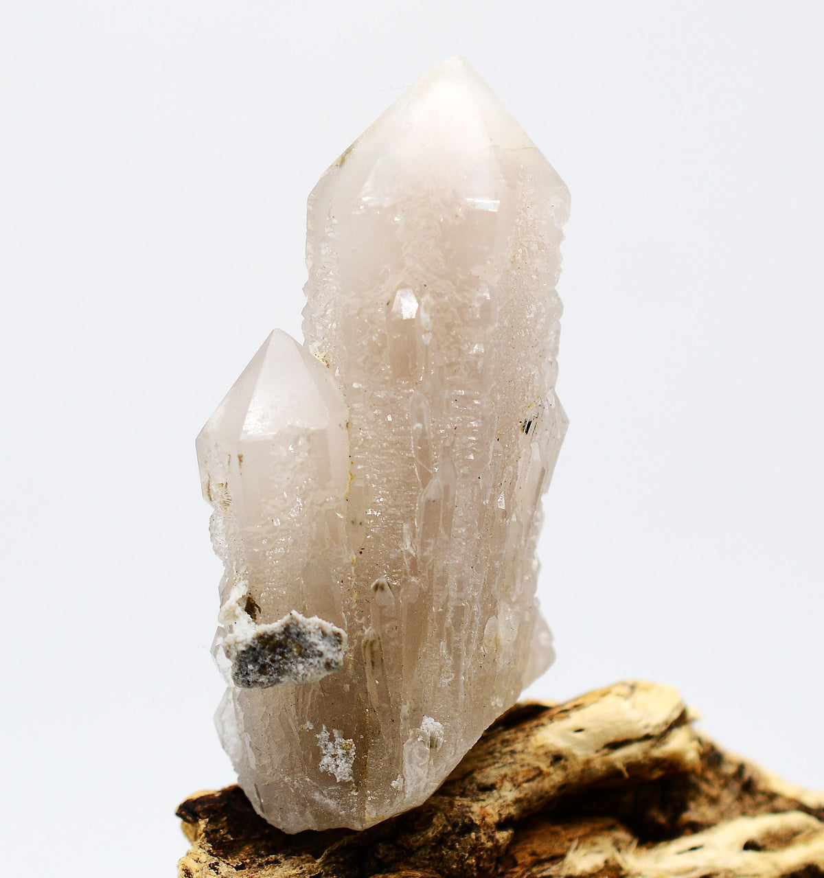 Mongolian Elestial Green Quartz White Phantom with Hedenbergite