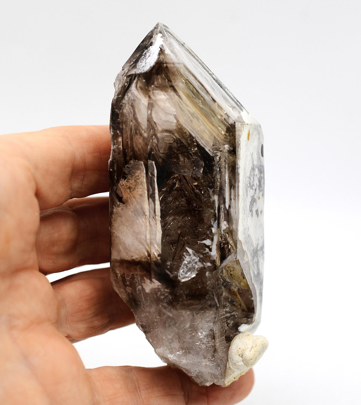 Omapeleki Brandberg Smoky Skeletal Black Phantom: Ethically Mined Large Quartz Crystal