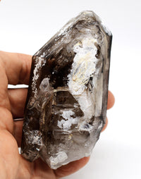 Omapeleki Brandberg Smoky Skeletal Black Phantom: Ethically Mined Large Quartz Crystal