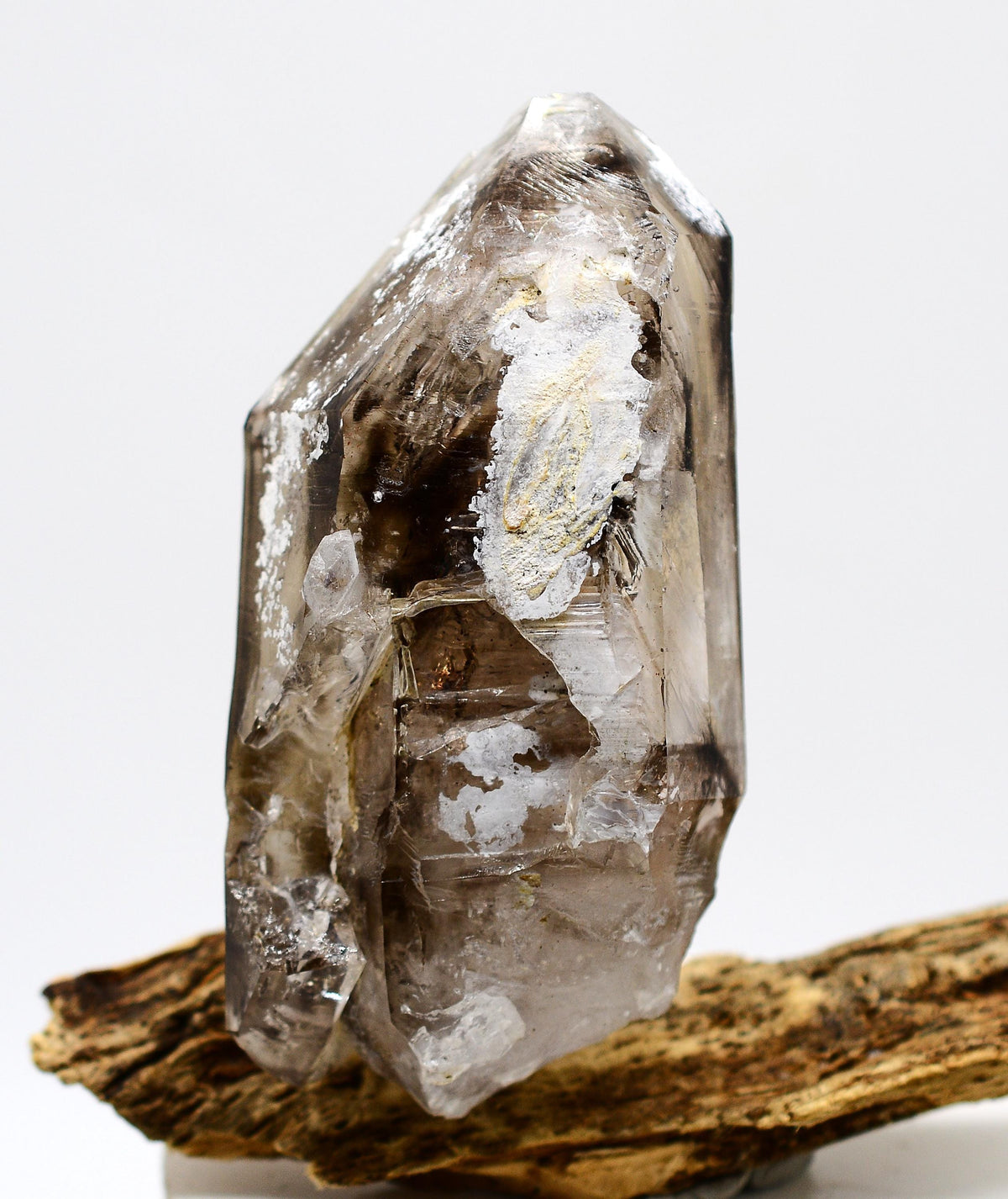Omapeleki Brandberg Smoky Skeletal Black Phantom: Ethically Mined Large Quartz Crystal