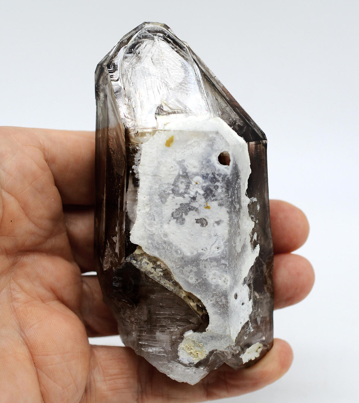 Omapeleki Brandberg Smoky Skeletal Black Phantom: Ethically Mined Large Quartz Crystal
