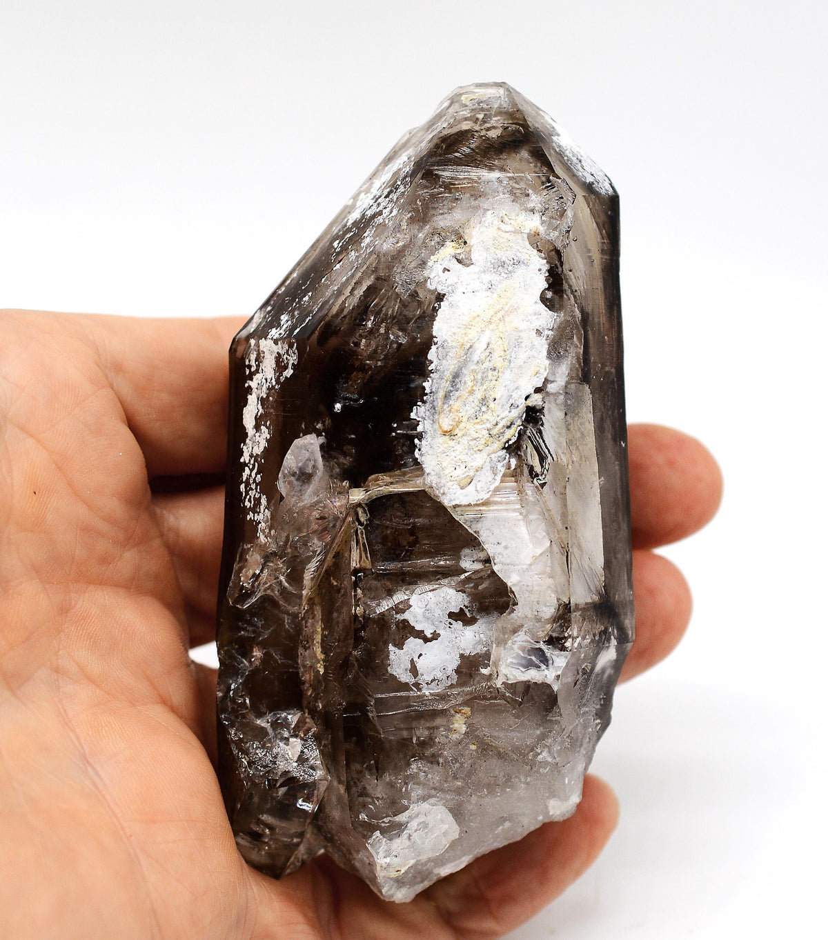 Omapeleki Brandberg Smoky Skeletal Black Phantom: Ethically Mined Large Quartz Crystal
