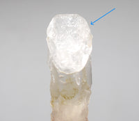 Mongolian Etched White Phantom Generator