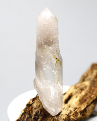 Mongolian Etched White Phantom Generator