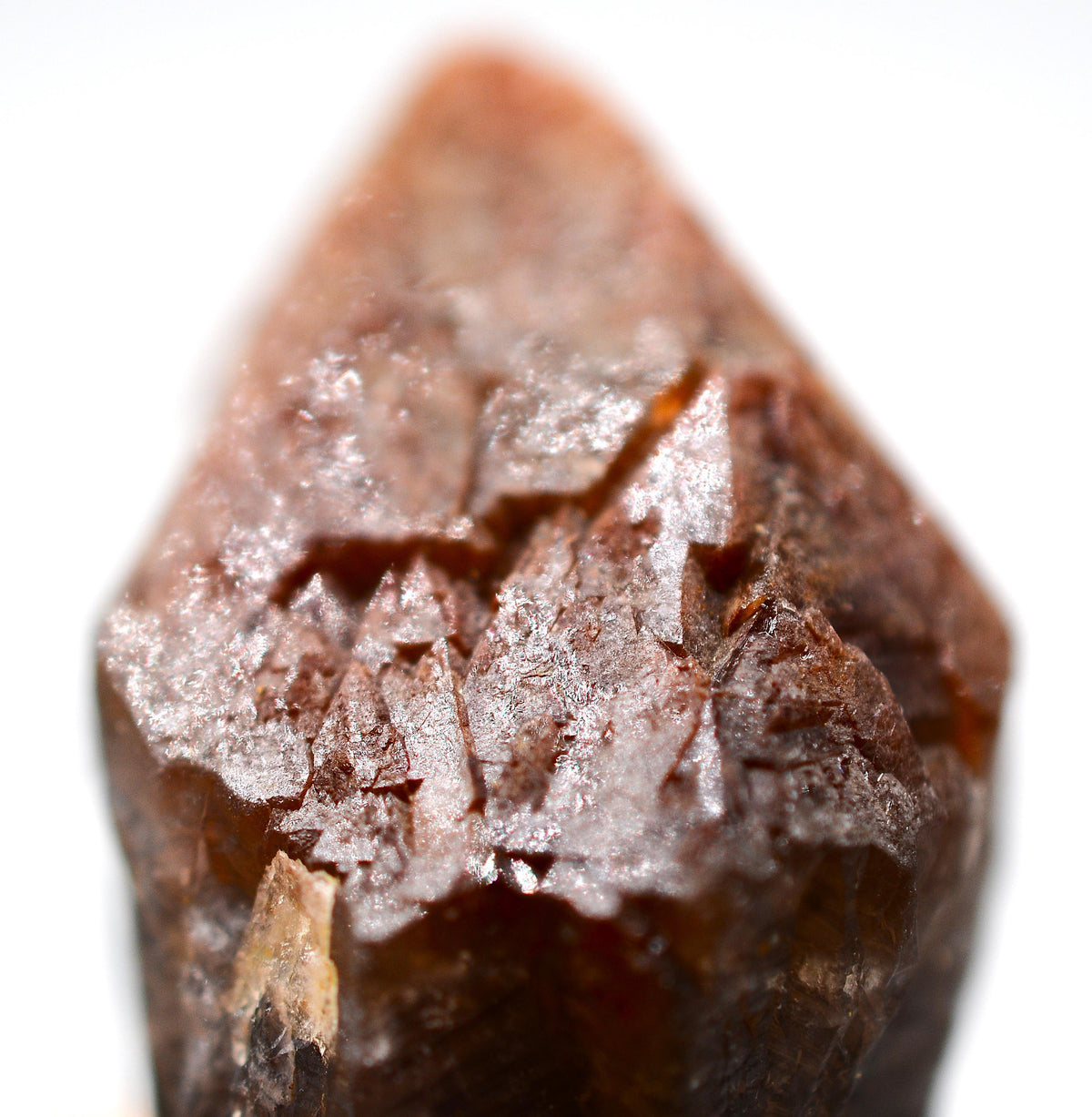 Auralite 23 Crystal: Ethically Mined in Canada, Healing Stone