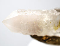 Mongolian Etched White Phantom Generator