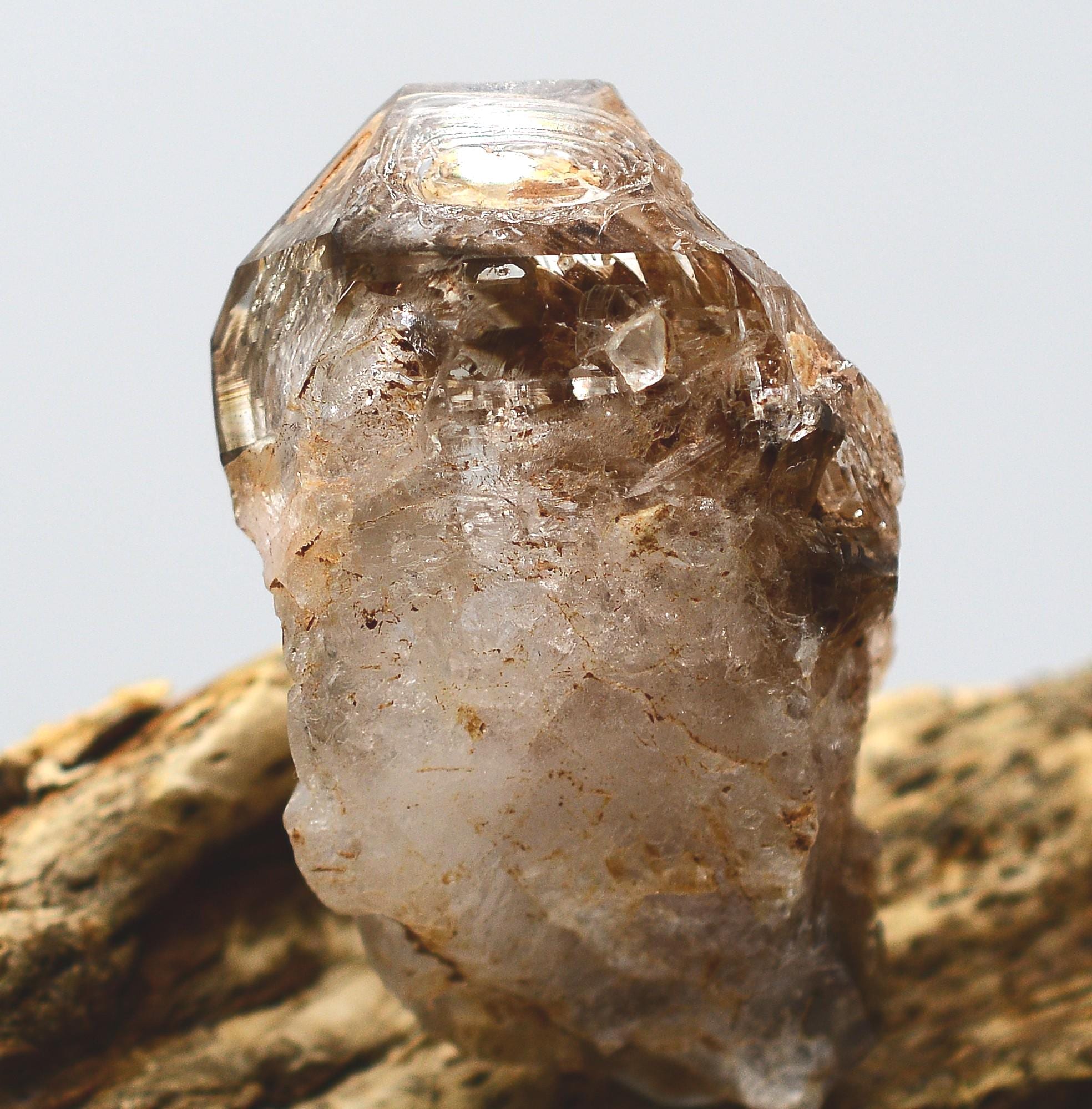 Omapeleki Brandberg Skeletal Black Phantom: Ethically Mined Quartz Crystal