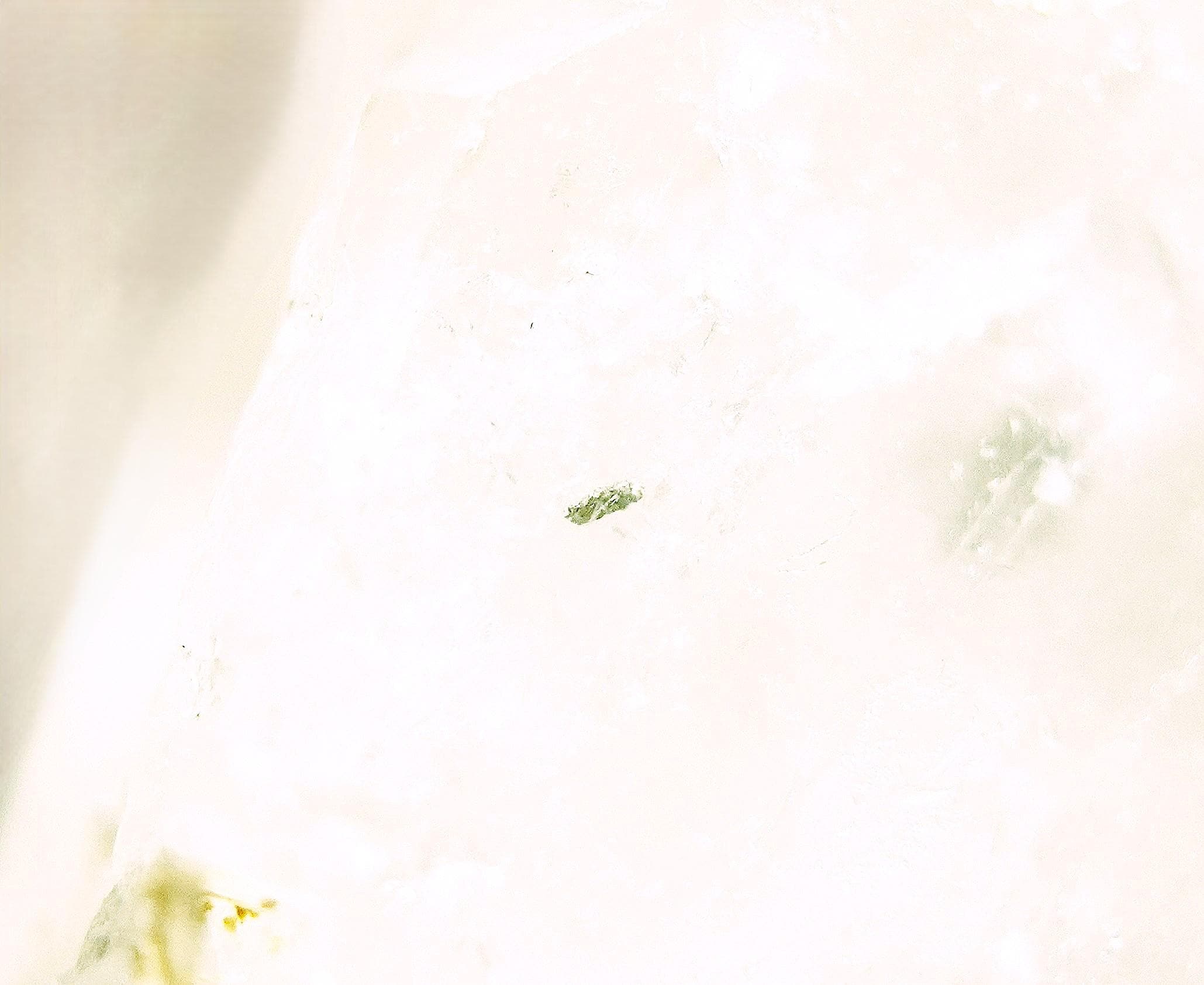 Gold-Included Welsh Quartz: Ethically Hand-Mined Celtic Quartz