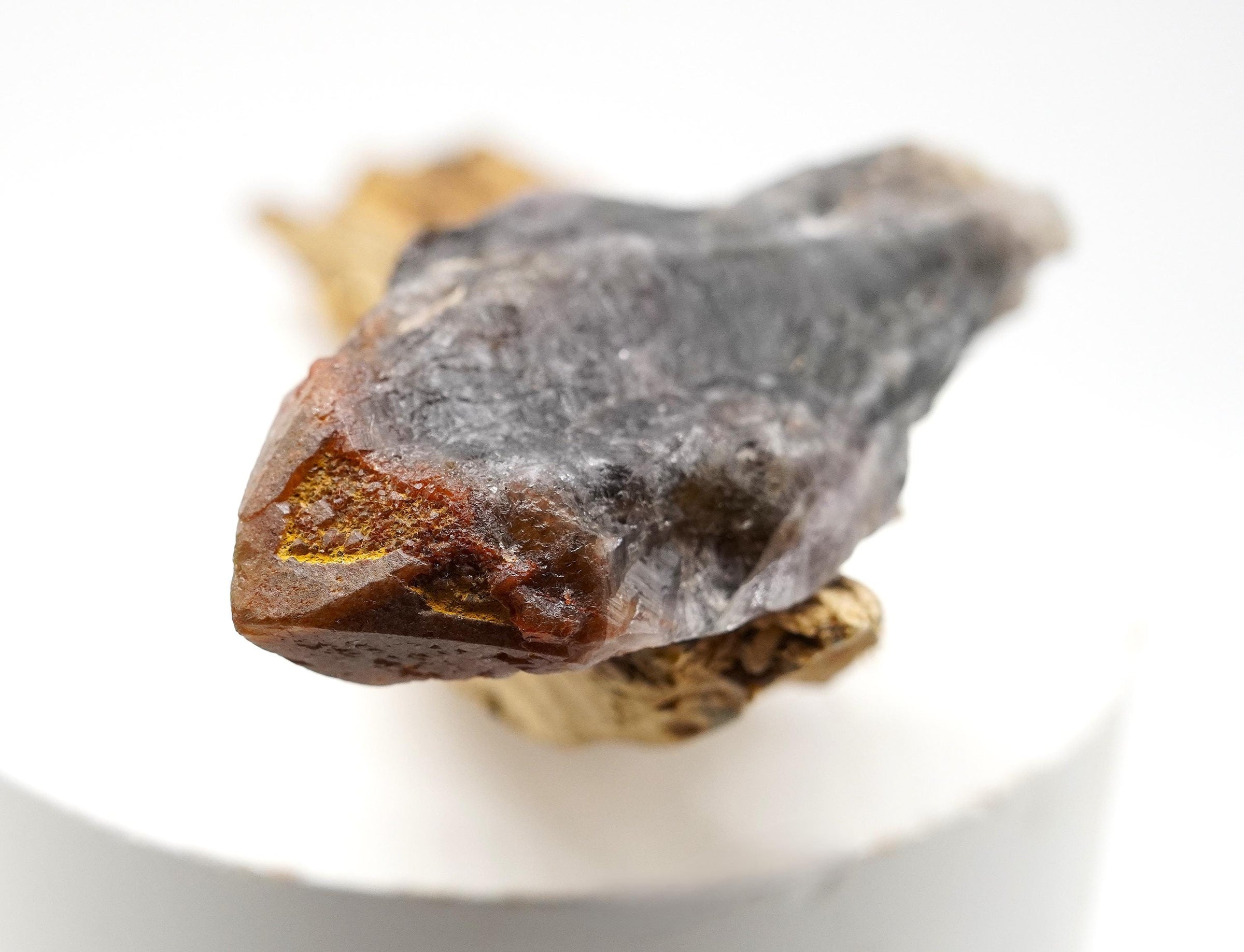 Auralite 23 Crystal: Ethically Mined Canadian Amethyst