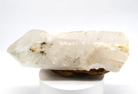 Himalayan Quartz Crystal with Green Chlorite