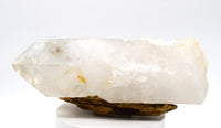 Himalayan Quartz Crystal with Green Chlorite