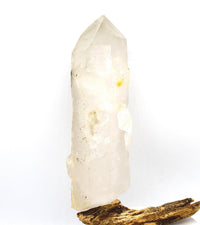 Himalayan Quartz Crystal with Green Chlorite