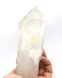 Himalayan Quartz Crystal with Green Chlorite