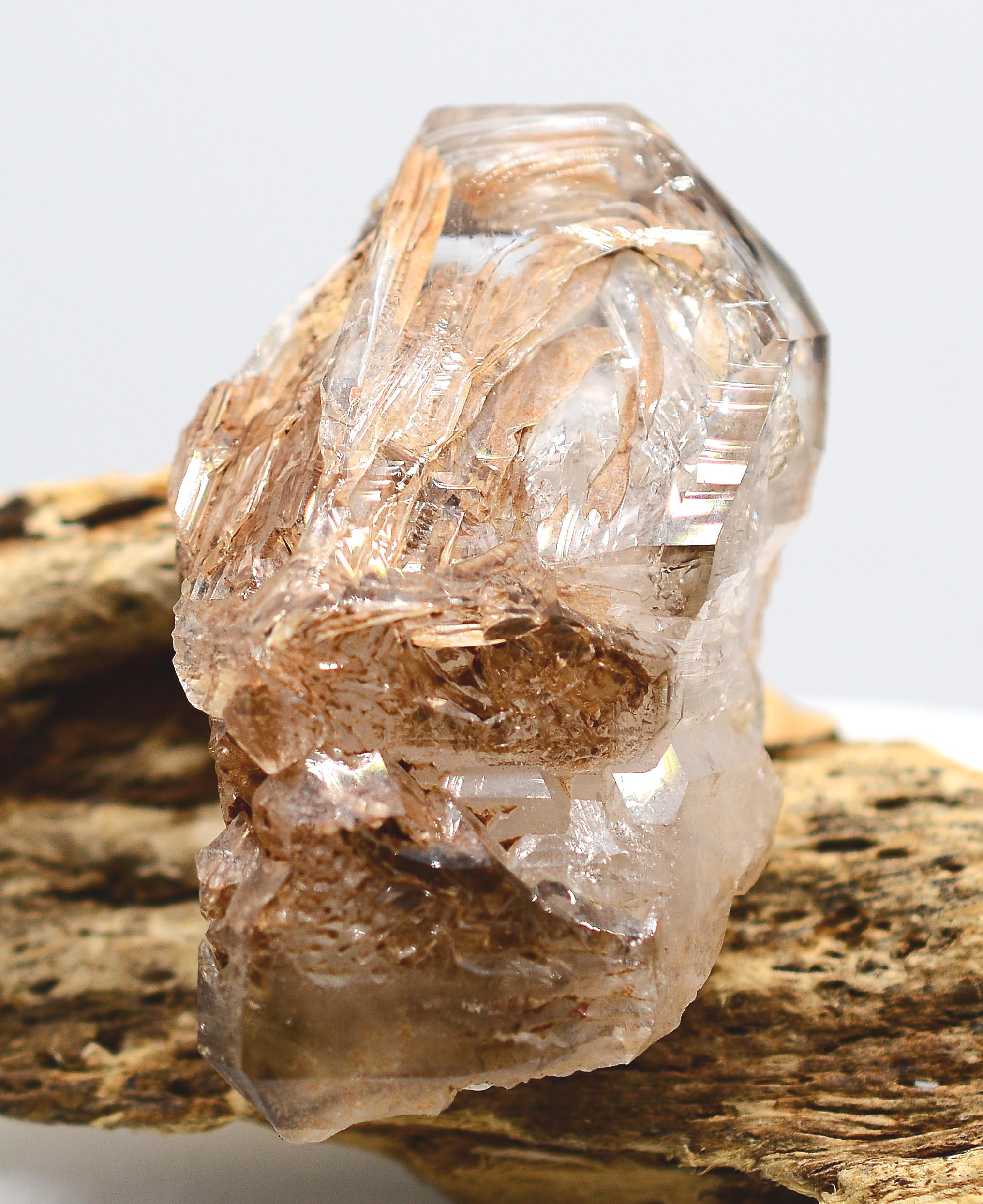 Omapeleki Brandberg Skeletal Black Phantom: Ethically Mined Quartz Crystal