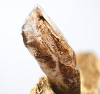 Omapeleki Brandberg Skeletal Black Phantom: Ethically Mined Quartz Crystal