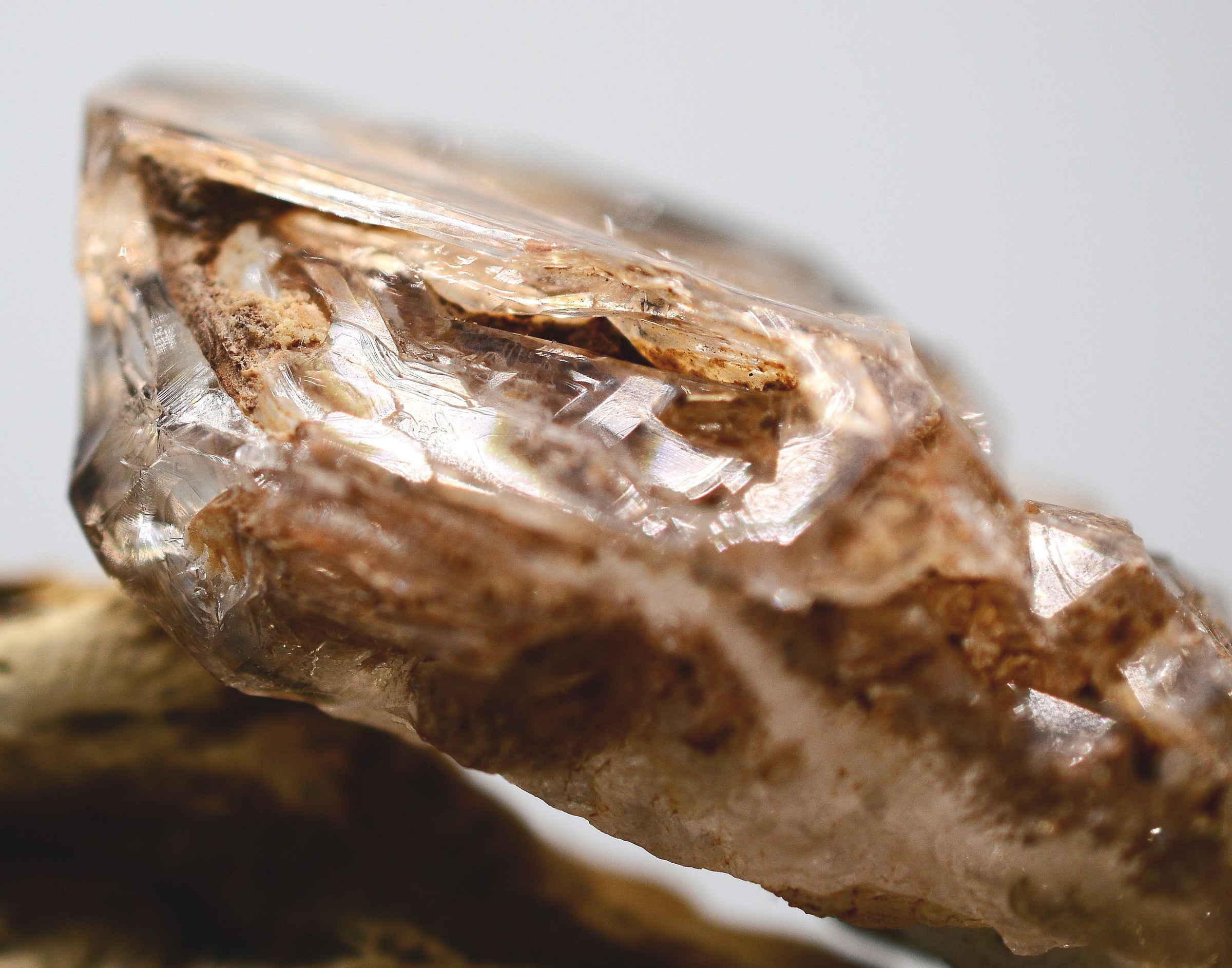 Omapeleki Brandberg Skeletal Black Phantom: Ethically Mined Quartz Crystal