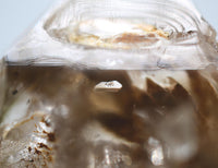 Omapeleki Brandberg Skeletal Black Phantom: Ethically Mined Quartz Crystal