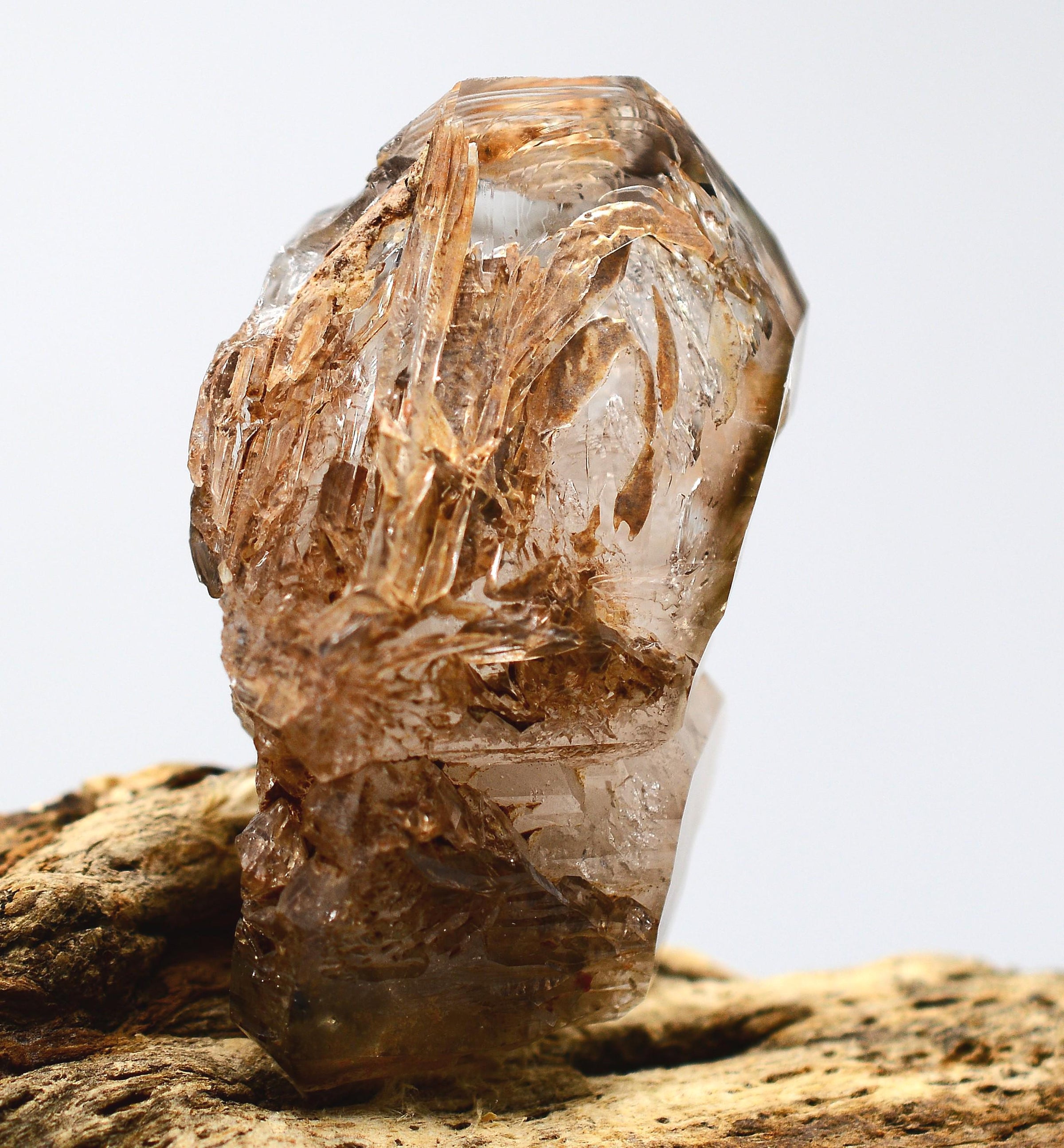 Omapeleki Brandberg Skeletal Black Phantom: Ethically Mined Quartz Crystal