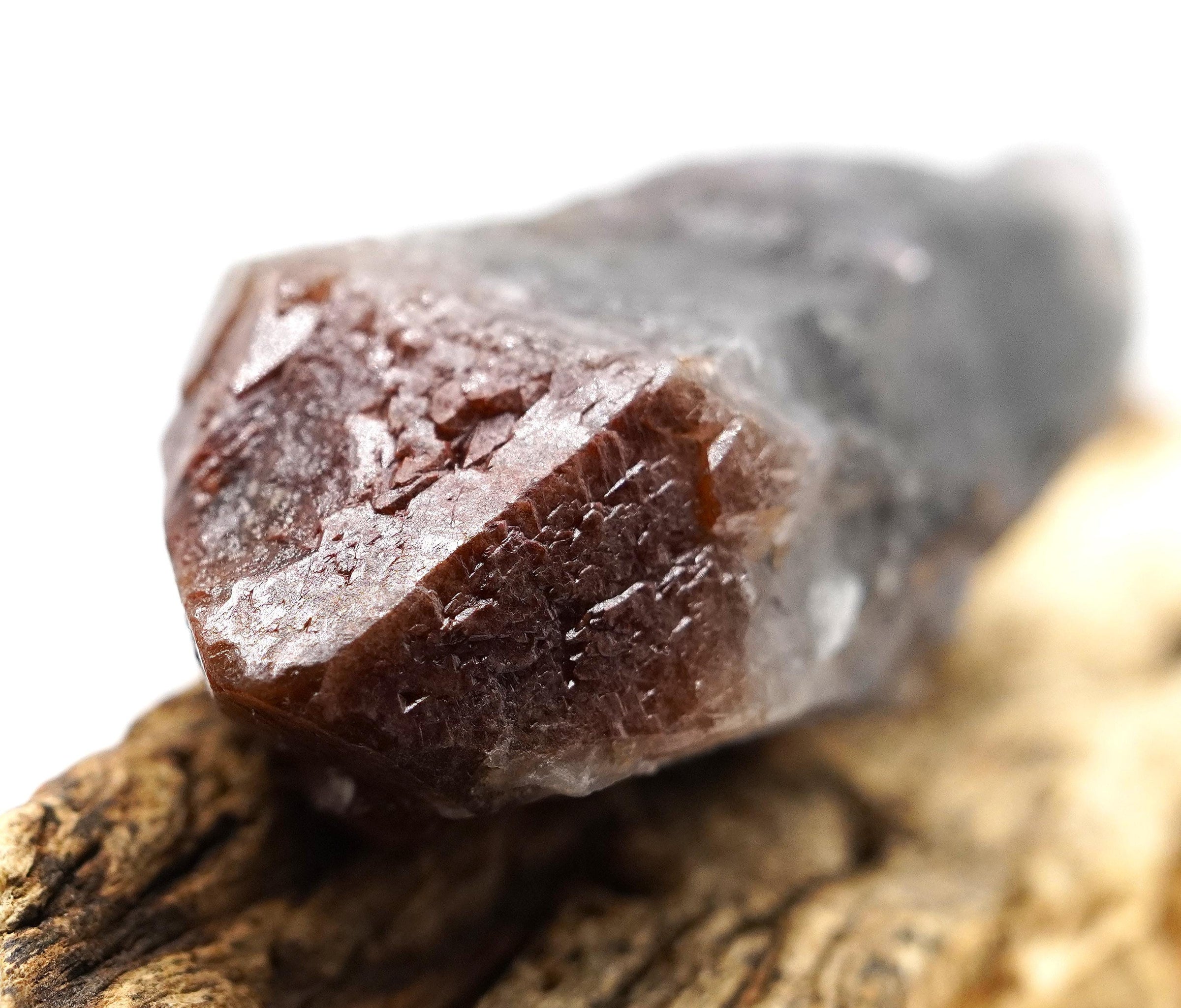Auralite 23 Crystal: Ethically Mined in Canada, Healing Stone