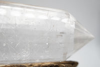24 Sided Himalayan Rutilated Quartz Vogel Wand