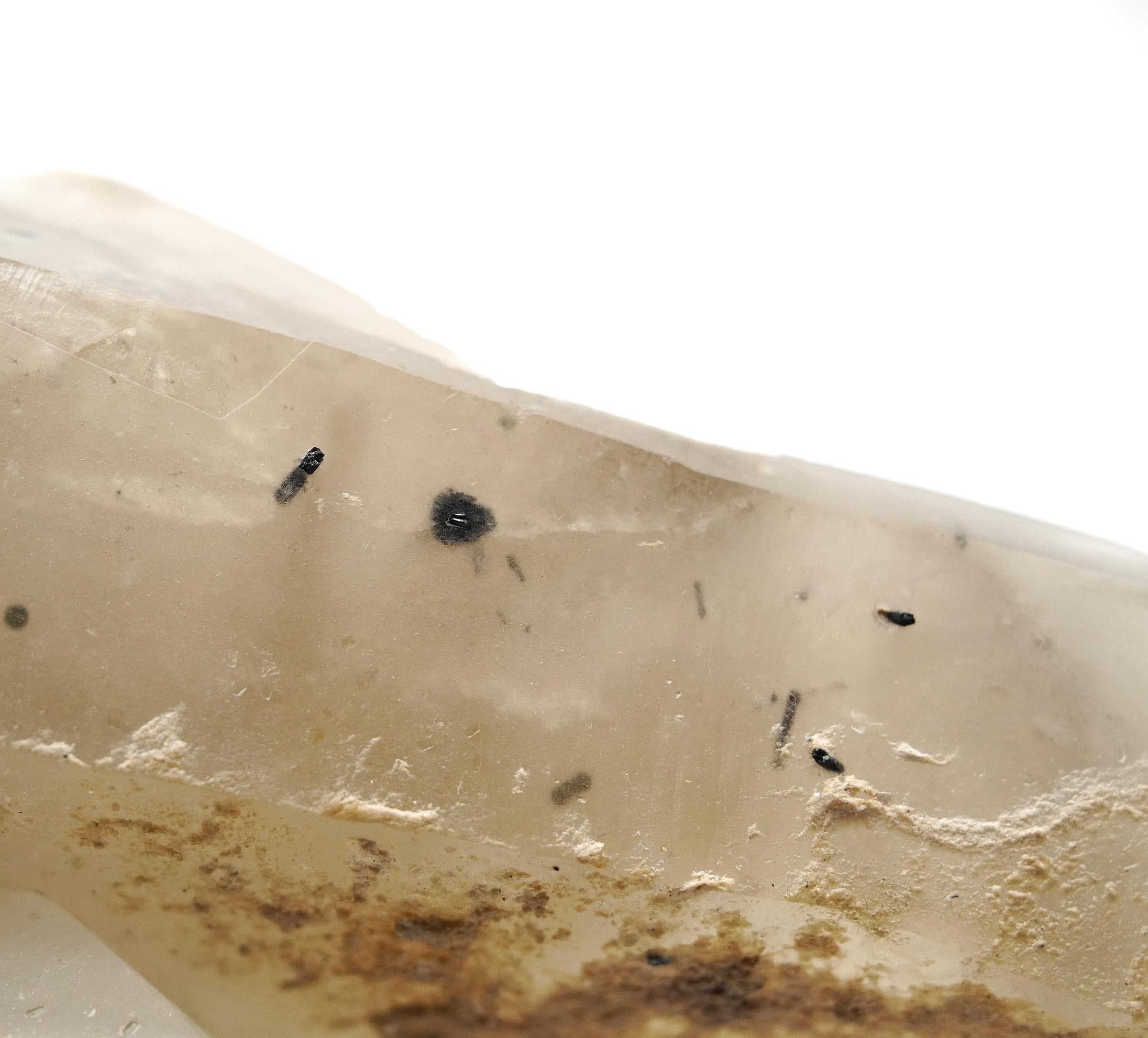 Brandberg Quartz Black Phantom Sceptre with Black Tourmaline: Ethically Hand-Mined Large Crystal
