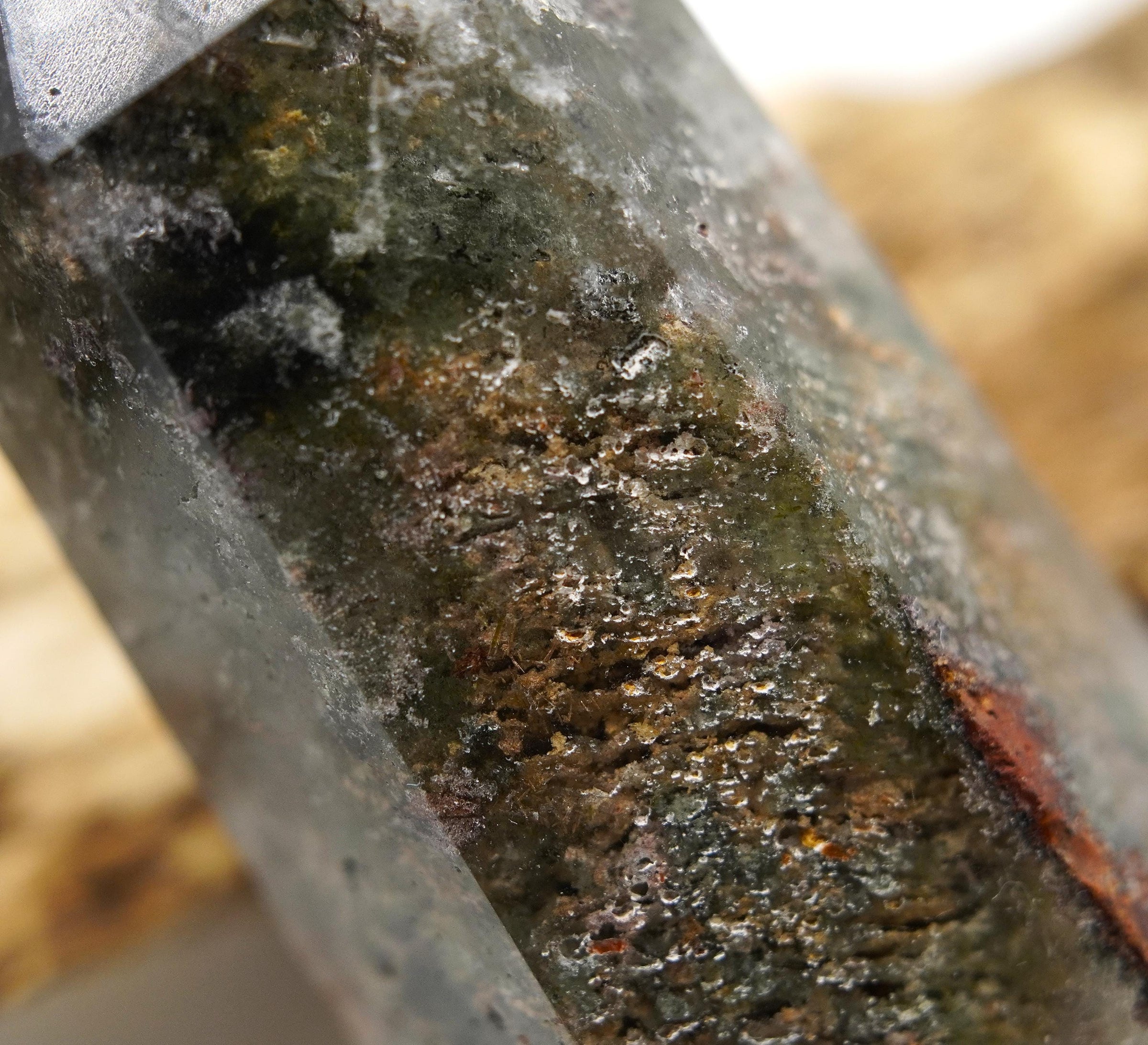 Garden Quartz: Hand-Mined Himalayan Crystal with Chlorite & Lodolite