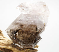 Omapeleki Brandberg Self-Healed Skeletal Black Phantom: Ethically Mined Quartz Crystal