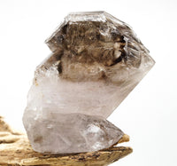 Omapeleki Brandberg Self-Healed Skeletal Black Phantom: Ethically Mined Quartz Crystal