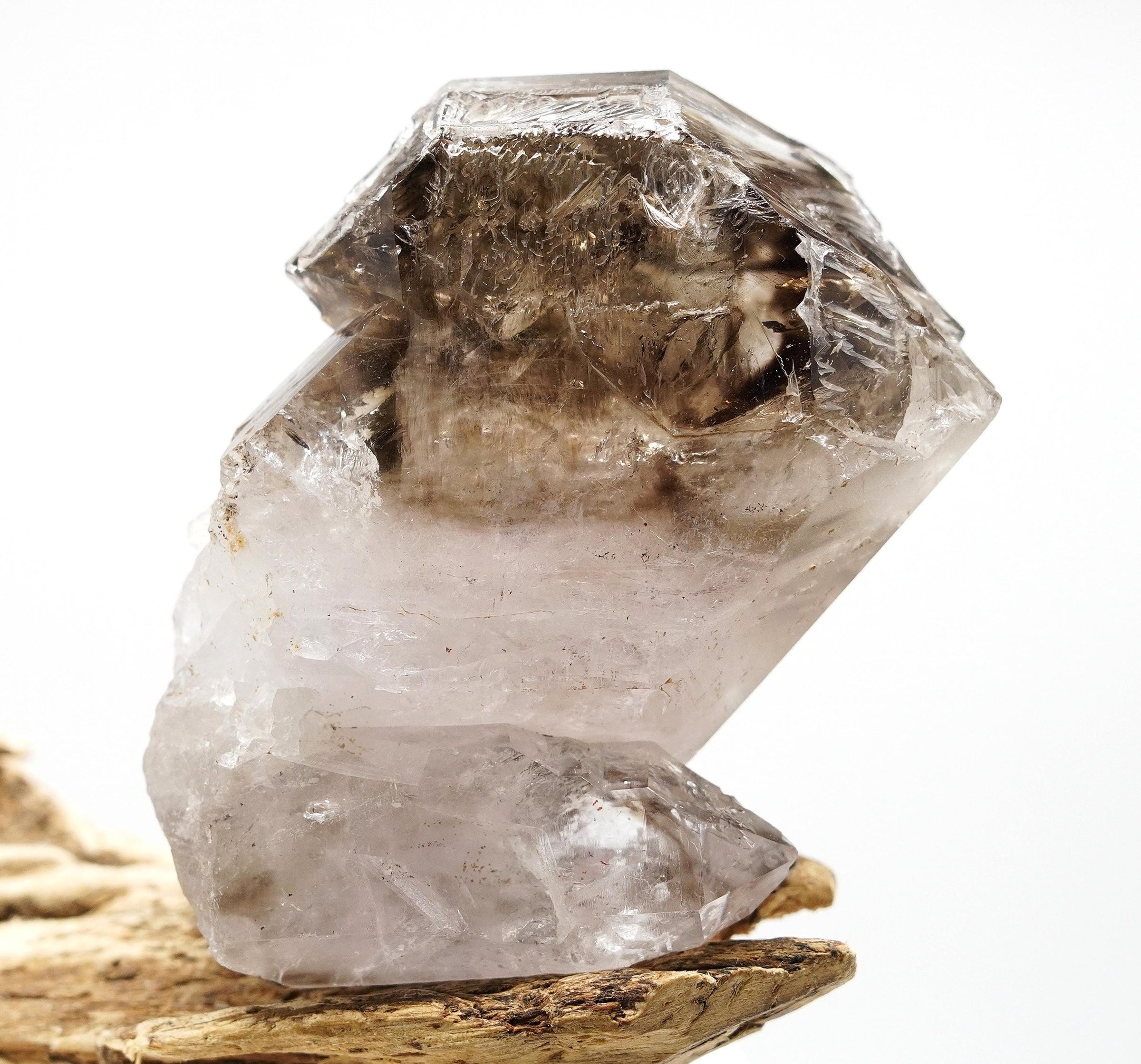 Omapeleki Brandberg Self-Healed Skeletal Black Phantom: Ethically Mined Quartz Crystal